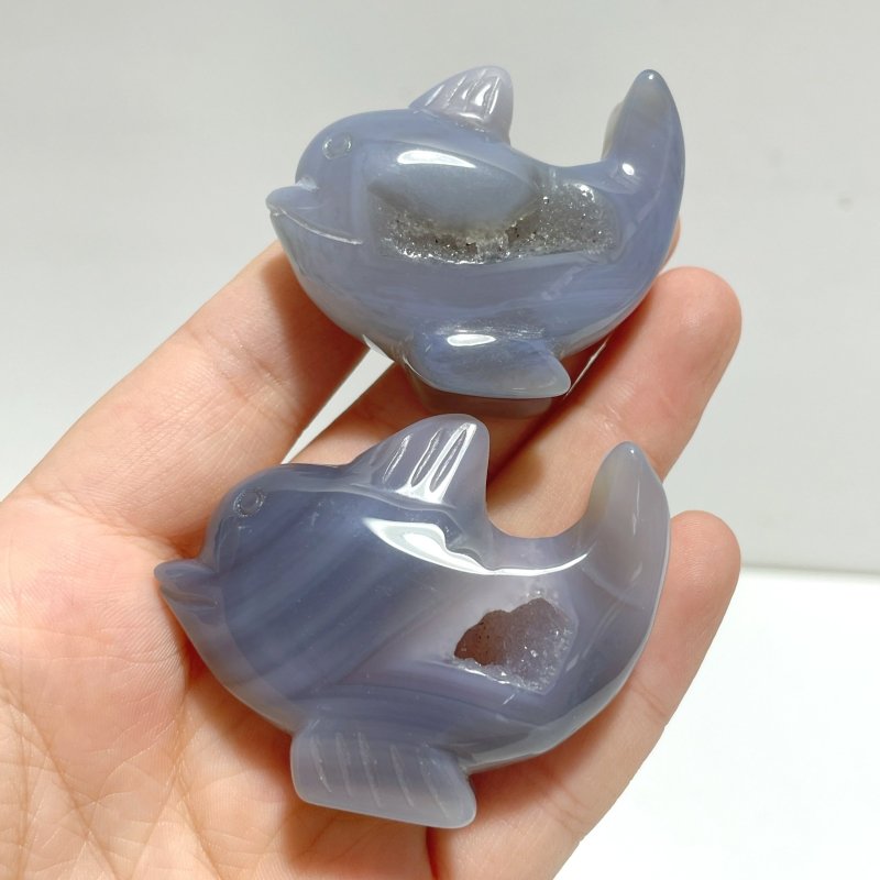 10 pieces Small Geode Agate Druzy Dolphin Carving - Wholesale Crystals