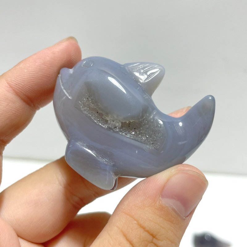 10 pieces Small Geode Agate Druzy Dolphin Carving - Wholesale Crystals