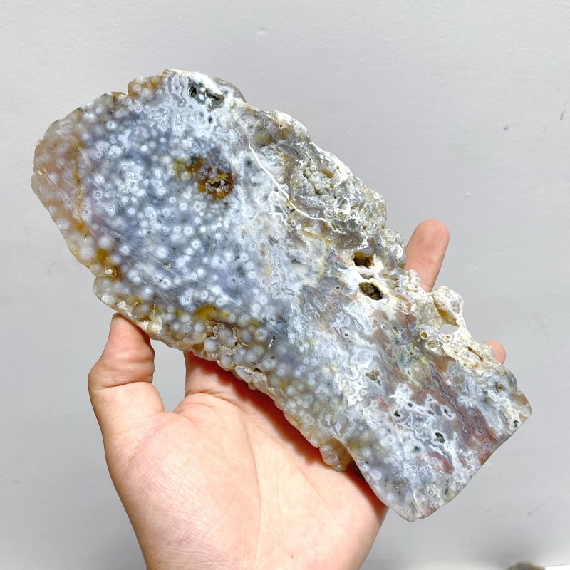 11 Pieces 6th Vein Ocean Jasper Slab - Wholesale Crystals