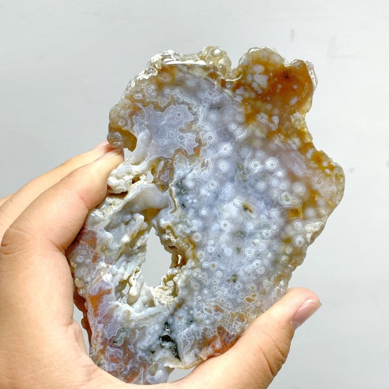 11 Pieces 6th Vein Ocean Jasper Slab - Wholesale Crystals