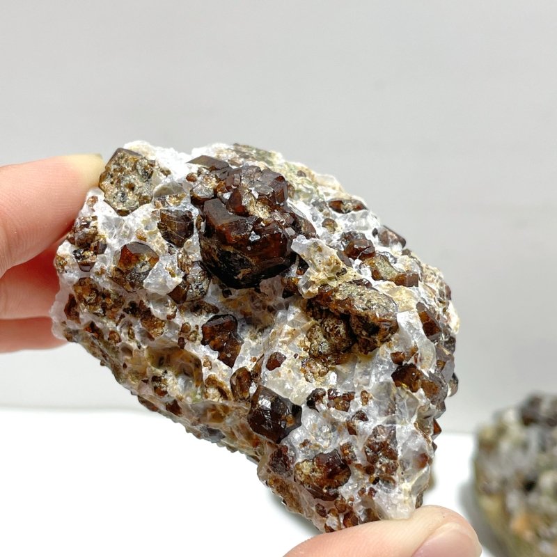 11 Pieces Raw Garnet Specimen For Collection - Wholesale Crystals