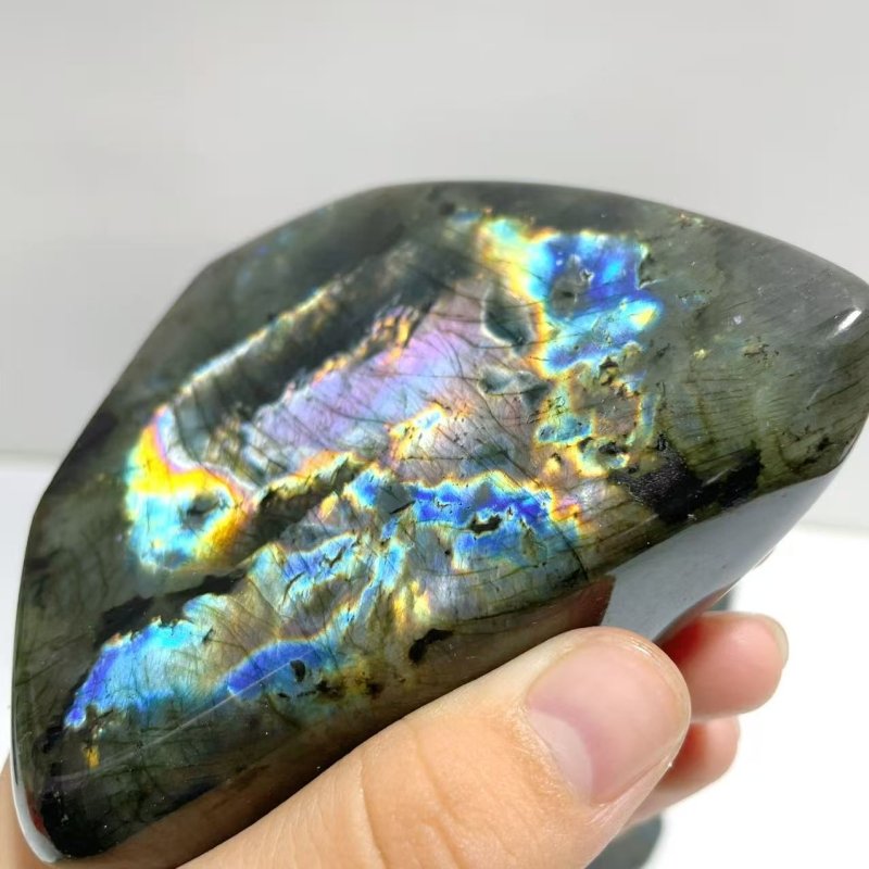 12 Pieces Large Beautiful Polished Purple Blue Labradorite Free Form - Wholesale Crystals