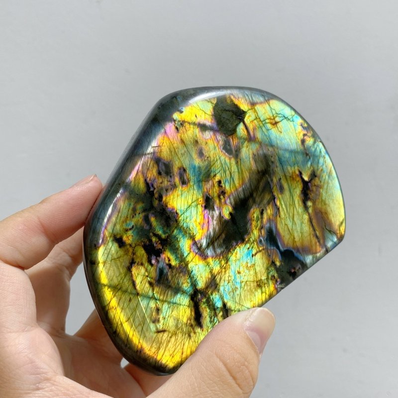 13 Pieces Colorful Labradorite Free Form -Wholesale Crystals
