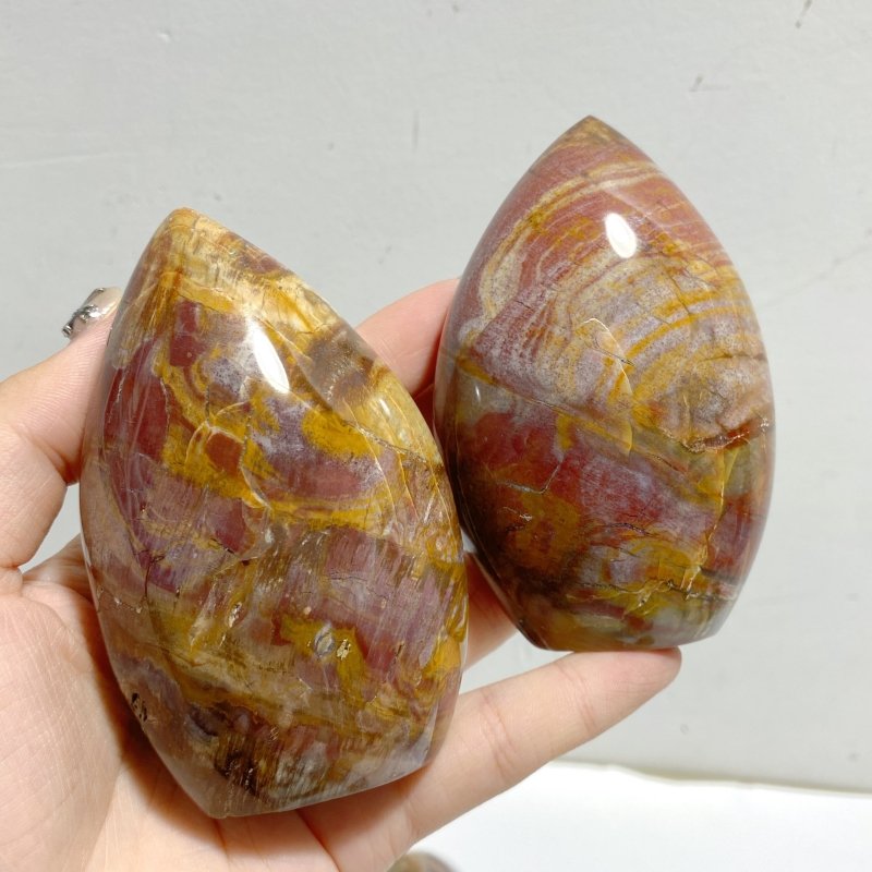 13 Pieces Petrified Wood Stone Arrow Head Shape -Wholesale Crystals