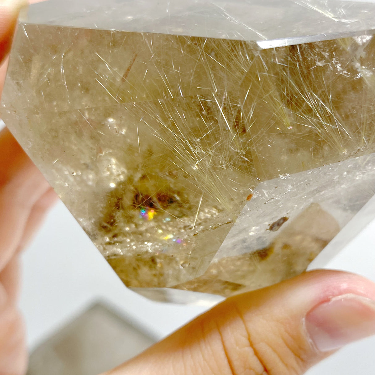 4 Pieces Golden Rutile Quartz Free Form With Stand