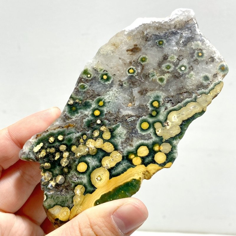 15 Pieces 8th Vein Ocean Jasper Slab - Wholesale Crystals
