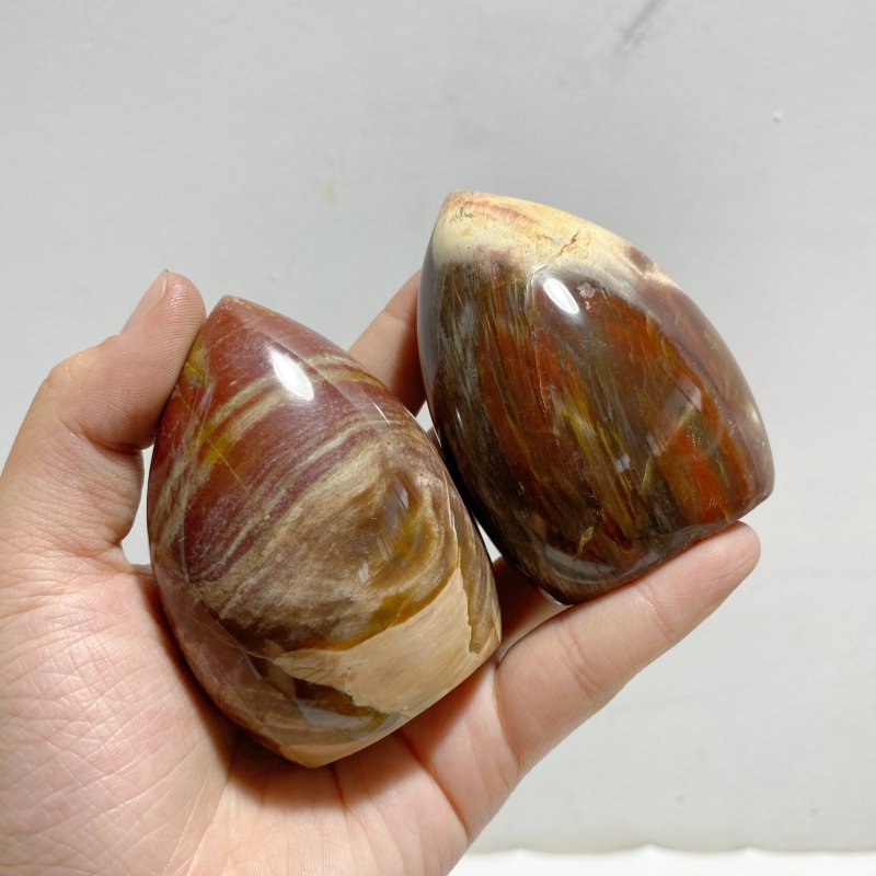 15 Pieces Petrified Wood Stone Arrow Head Shape -Wholesale Crystals