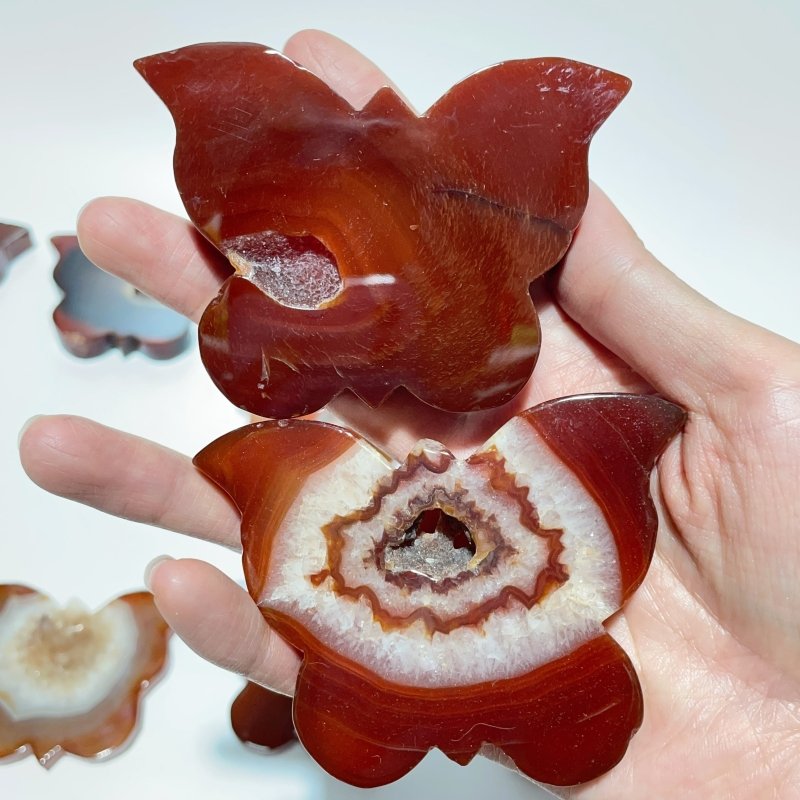 16 Pieces Carnelian Geode Druzy Butterfly Carving -Wholesale Crystals