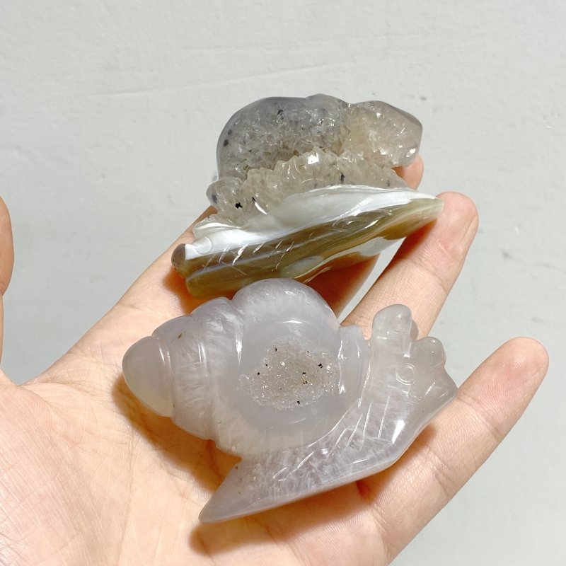 18 Pieces Geode Druzy Agate Snail Carving - Wholesale Crystals