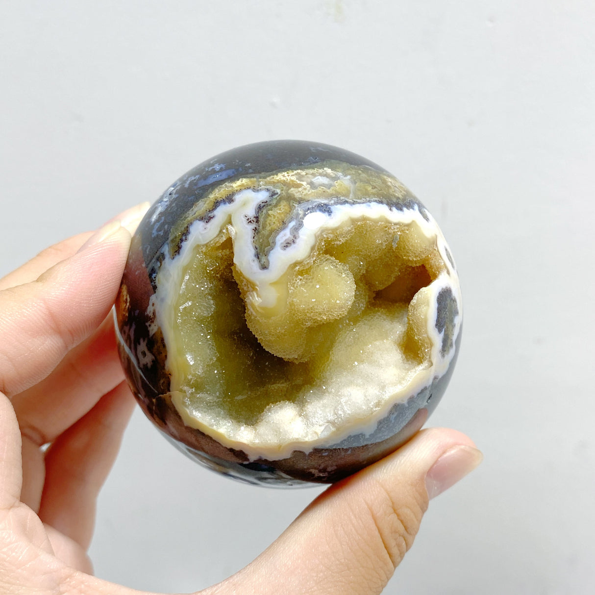11 Pieces Beautiful Geode Druzy 8th Vein Ocean Jasper Spheres