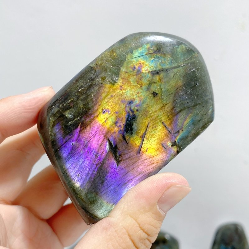 19 Pieces Beautiful Polished Labradorite Free Form -Wholesale Crystals