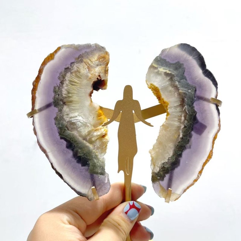 2 Pairs Fluorite Mixed Pyrite Angel Wing Carving With Stand - Wholesale Crystals