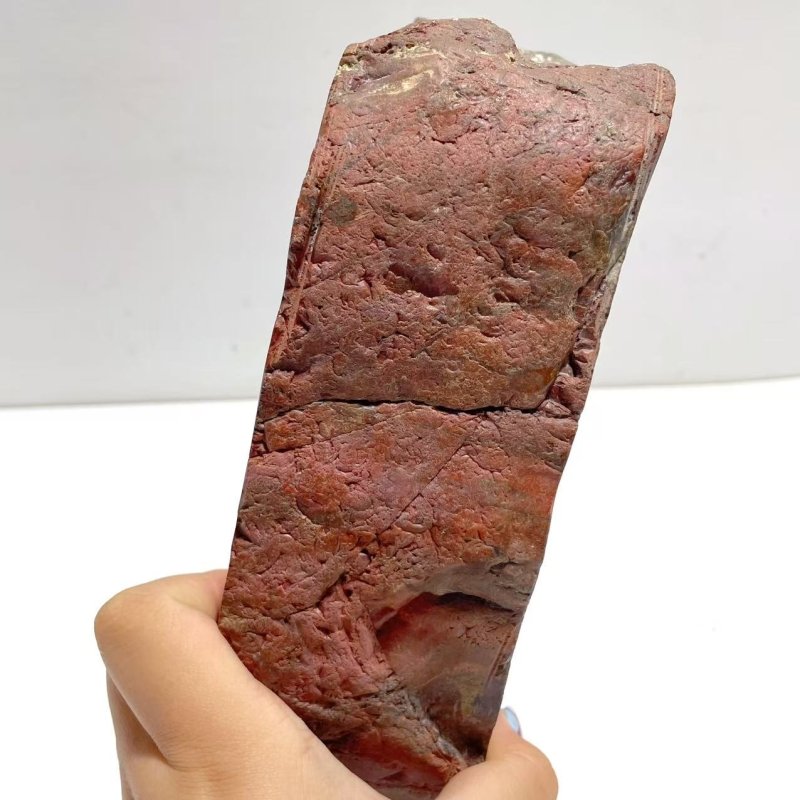 2 Pieces Large Petrified Wood Bowl - Wholesale Crystals