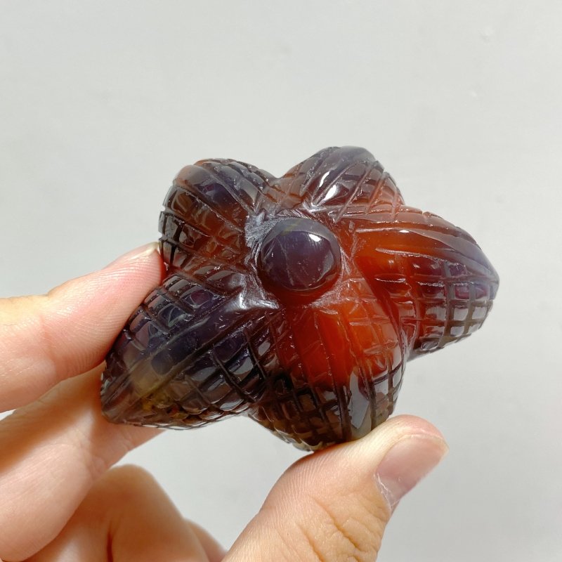 23 Pieces Africa Red Agate Sea Animals Carving -Wholesale Crystals