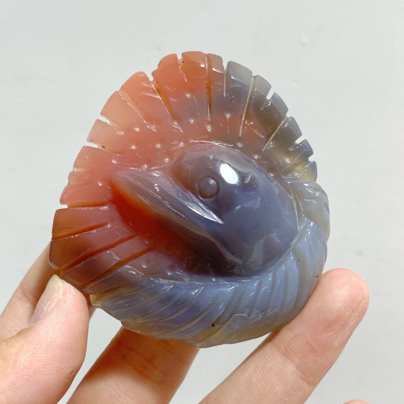 23 Pieces Africa Red Agate Sea Animals Carving -Wholesale Crystals