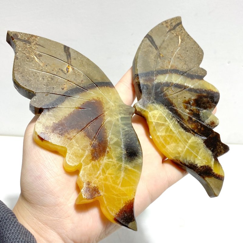 4 Pairs Septarian Butterfly Wing Carving With Stand 5 - Wholesale Crystals
