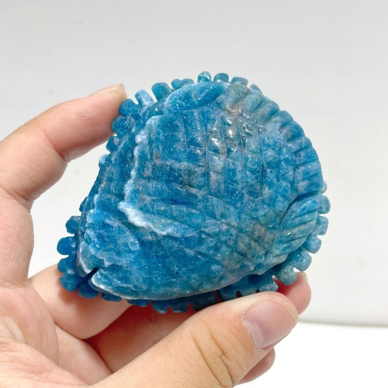 5 Pieces Apatite Sea Animals Carving - Wholesale Crystals