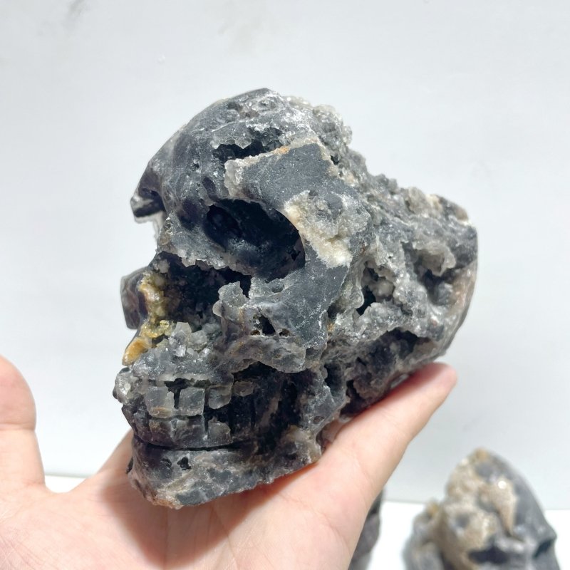 5 Pieces Druzy Geode Purple Fluorite Skull Carving - Wholesale Crystals