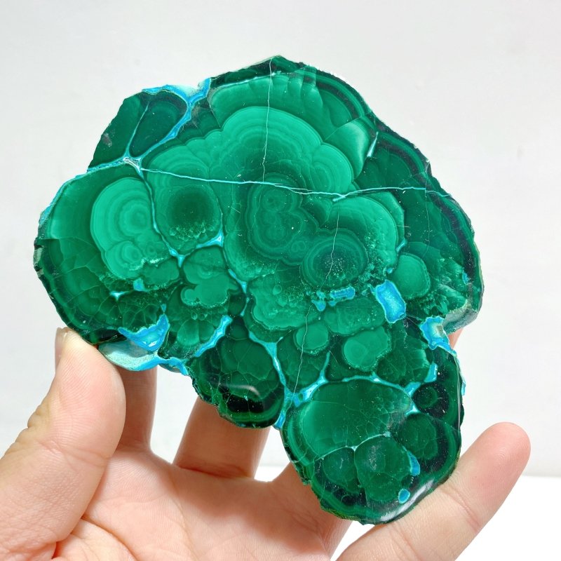 5 Pieces High Quality Beautiful Chrysocolla Mixed Malachite Slab Specimen 2 - Wholesale Crystals