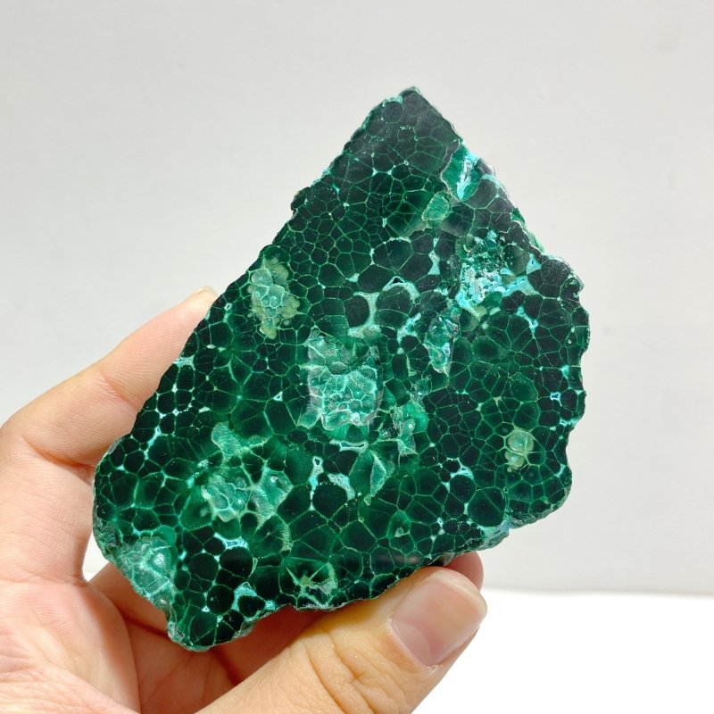 5 Pieces High Quality Beautiful Chrysocolla Mixed Malachite Slab Specimen 2 - Wholesale Crystals