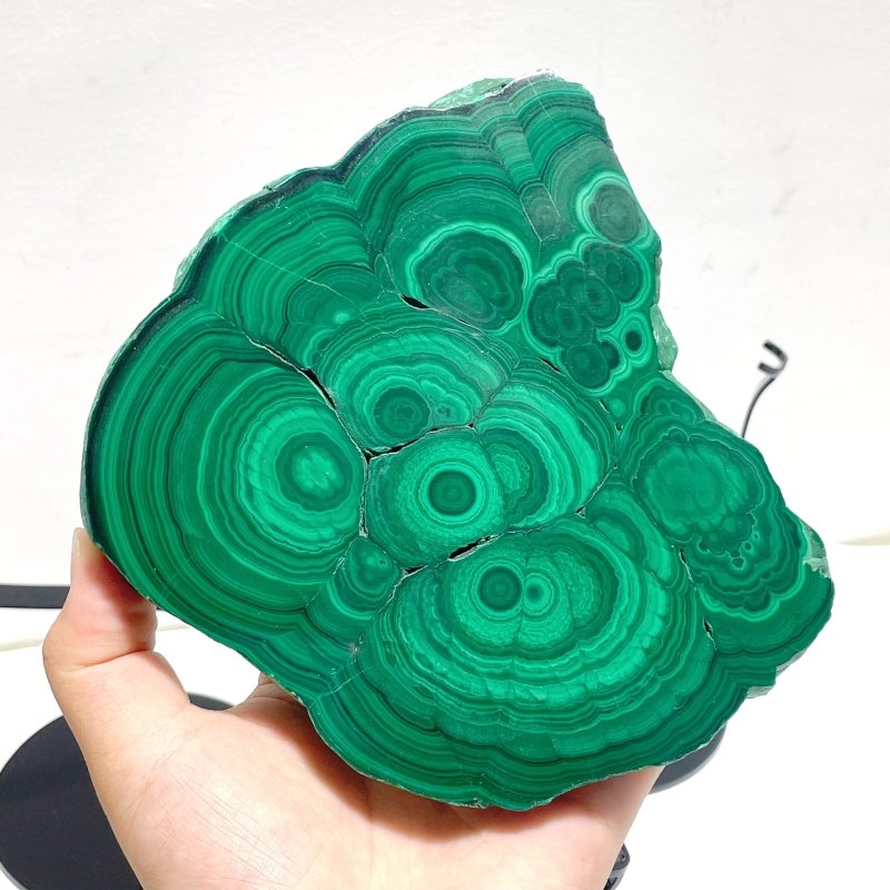 5 Pieces High Quality Malachite Specimen With Stand For Collection - Wholesale Crystals