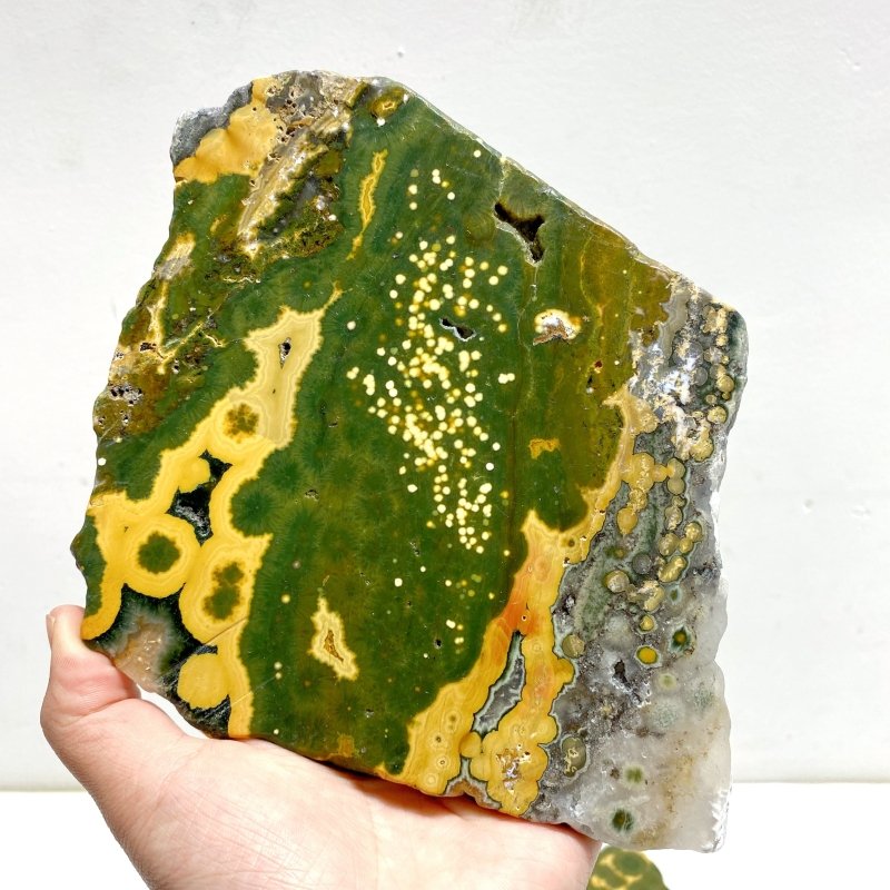 5 Pieces Large 8th Vein Ocean Jasper Slabs - Wholesale Crystals