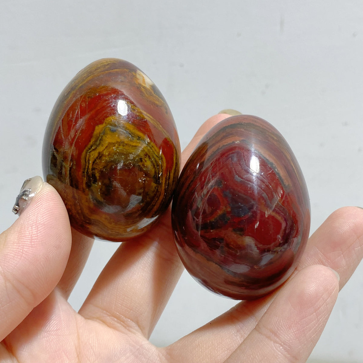 Petrified Wood Stone Egg Wholesale