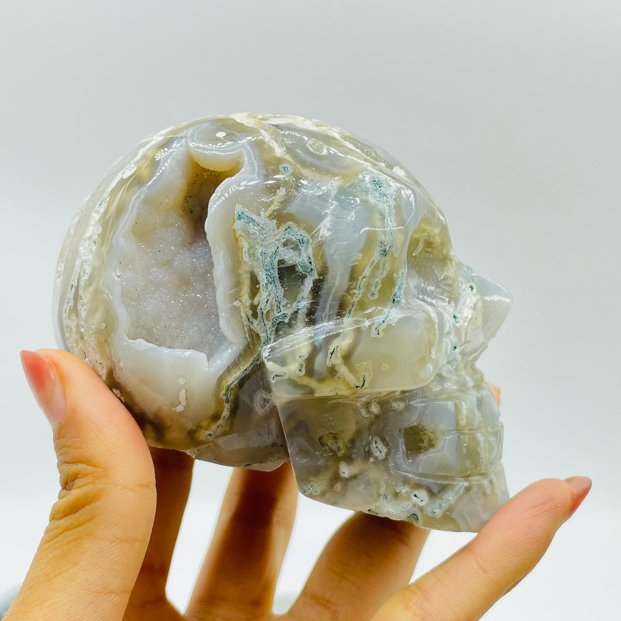 6 Pieces Beautiful Moss Agate Geode Druzy Skull