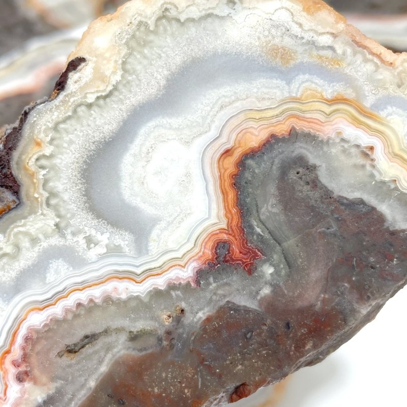 6 Pieces Beautiful Morocco Agate Cloud Shape Polished Slab - Wholesale Crystals