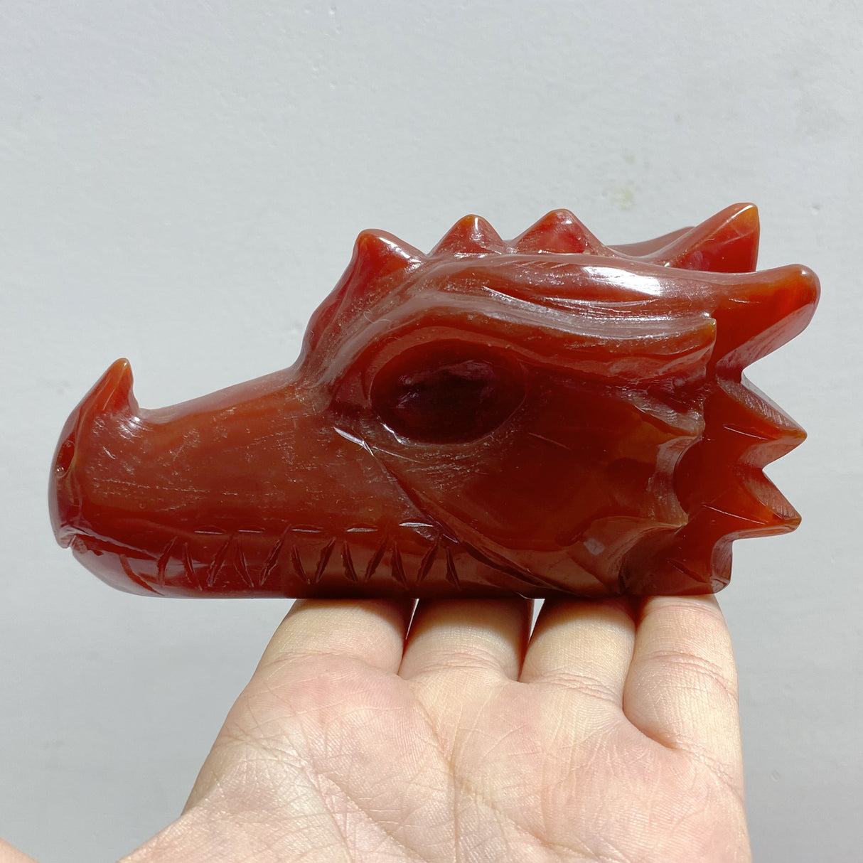 8 Pieces Carnelian Dragon Head Carving