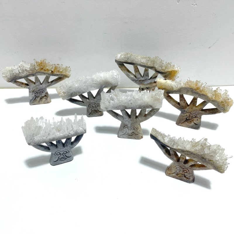 7 Pieces Clear Quartz Cluster Dendroid Guard Carving - Wholesale Crystals