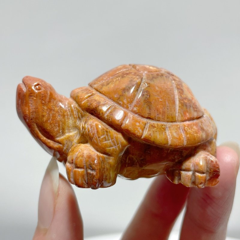 7 Pieces High Quality Coral Jade Turtle Carving #3 - Wholesale Crystals