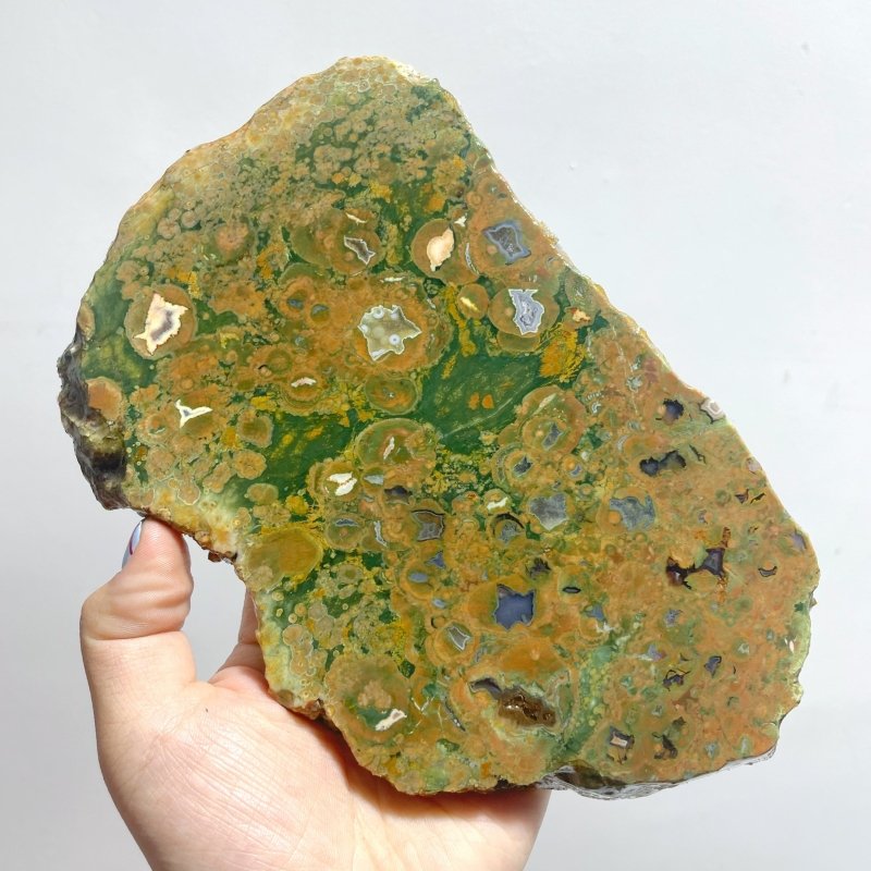 7 Pieces Peacock Eye Rain Forest Jasper Slab - Wholesale Crystals