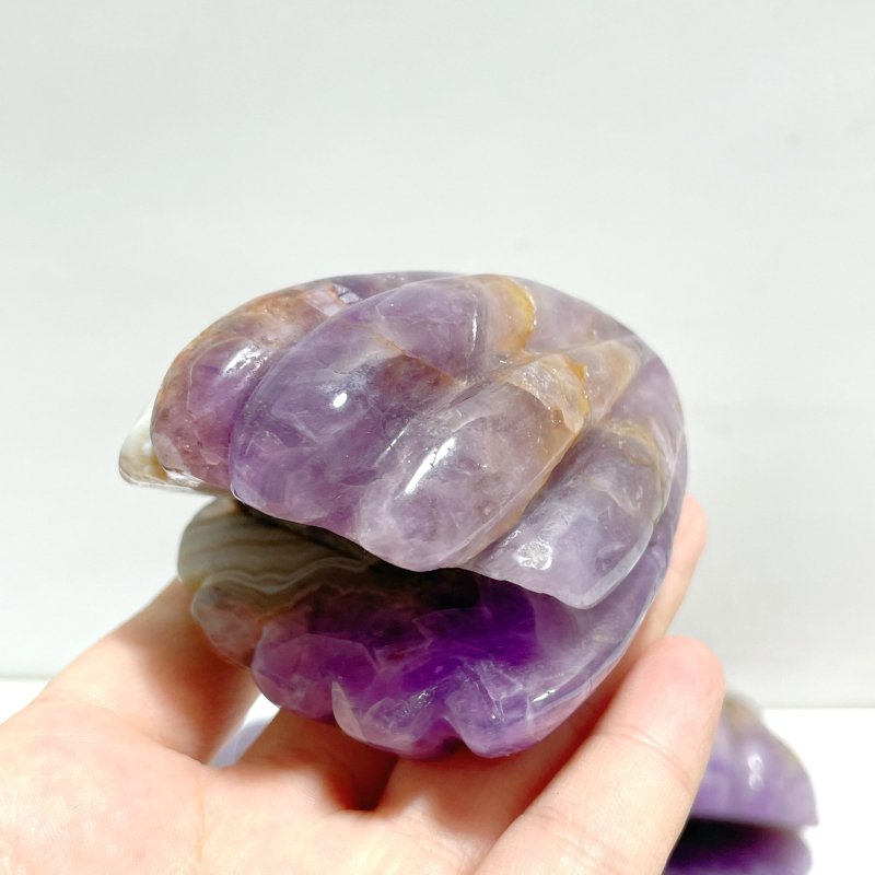 8 Pieces Amethyst Mixed Stripe Agate Shell Carving - Wholesale Crystals