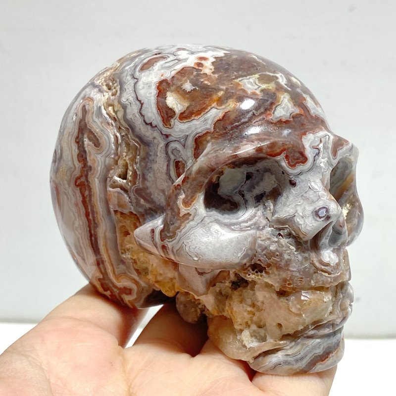 8 Pieces Geode Druzy Morocco Agate Skull Carving 2 - Wholesale Crystals