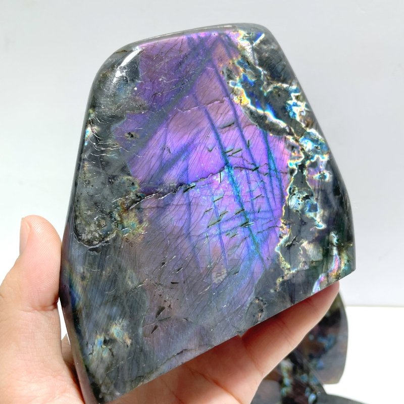 8 Pieces Large Beautiful Polished Purple Blue Labradorite Free Form - Wholesale Crystals
