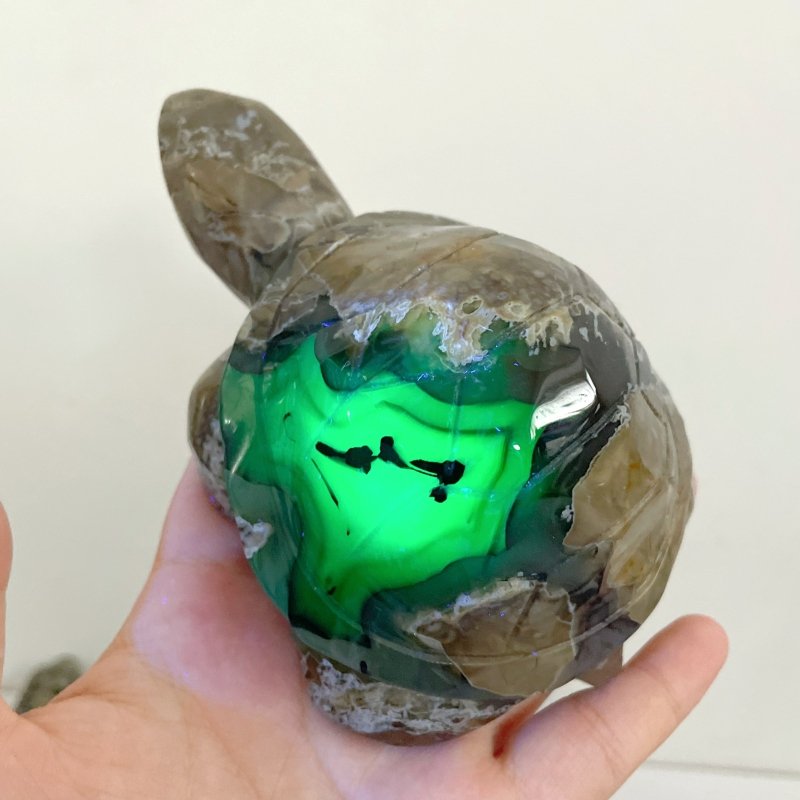 9 Pieces Volcano Agate Turtle Carving(UV - Reactive) - Wholesale Crystals