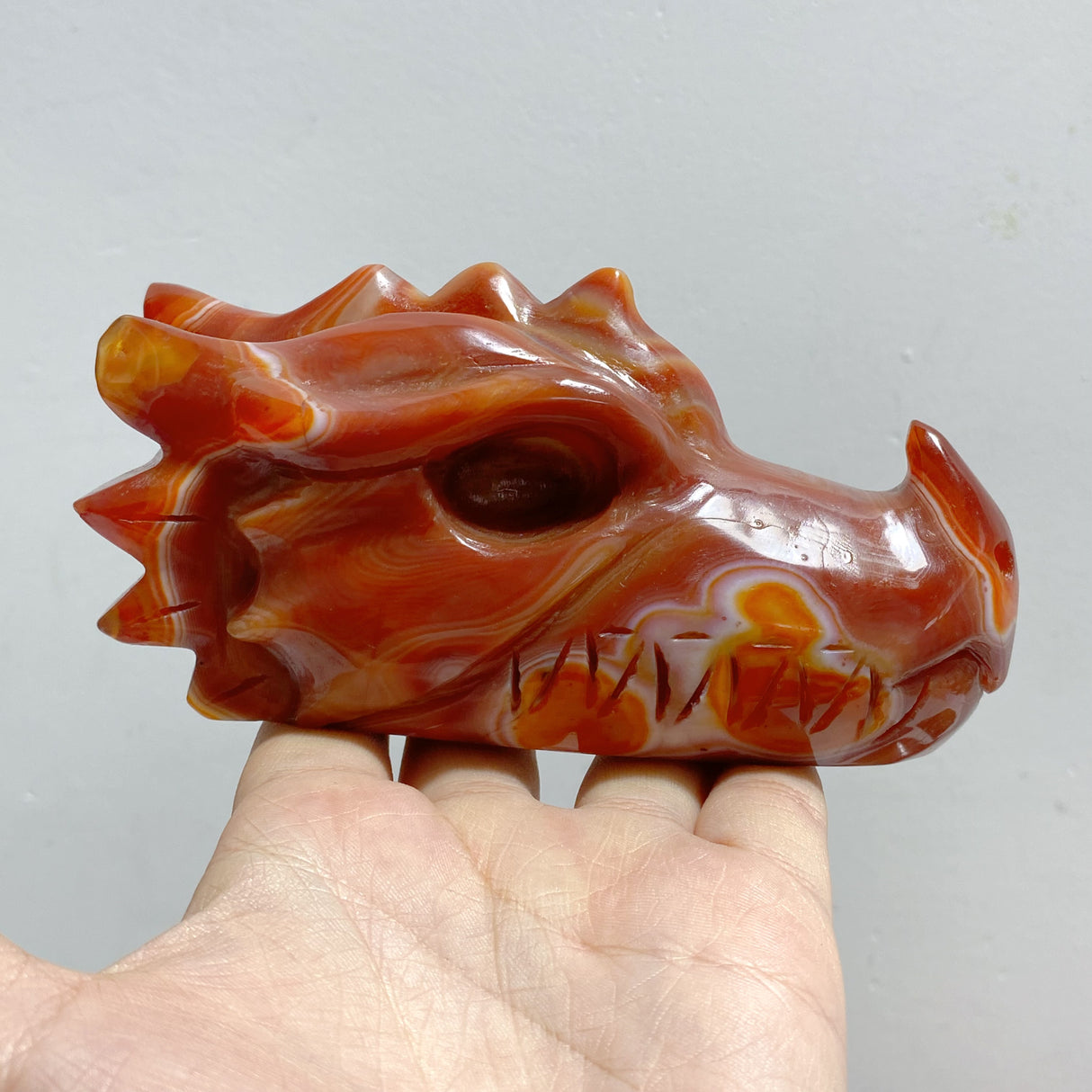8 Pieces Carnelian Dragon Head Carving