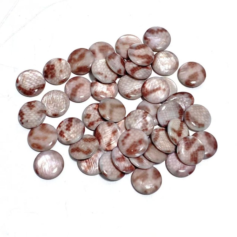 Aura Round Polished Shell Fossil Wholesale - Wholesale Crystals