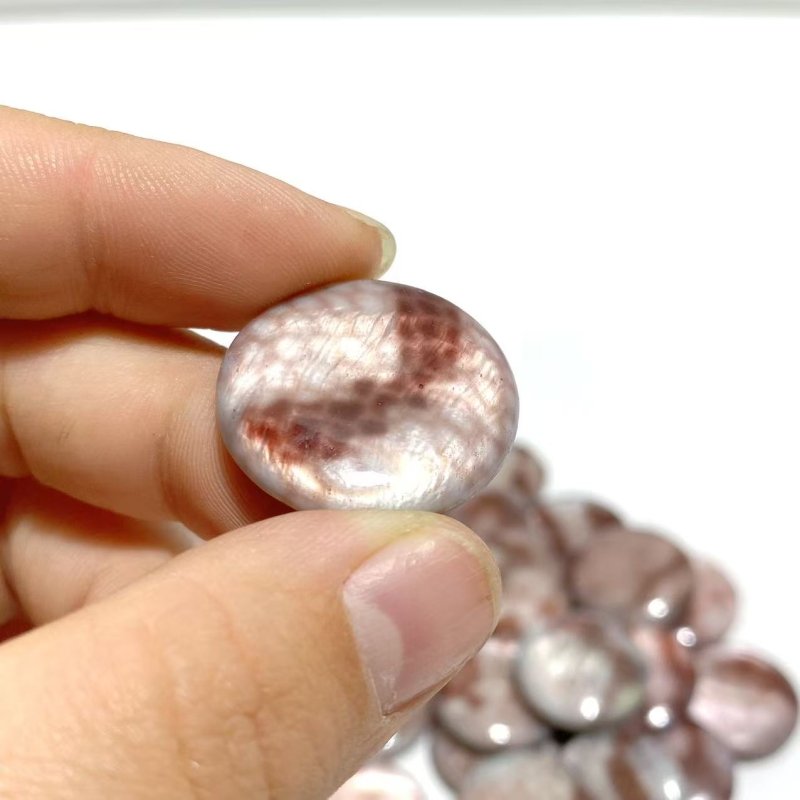 Aura Round Polished Shell Fossil Wholesale - Wholesale Crystals