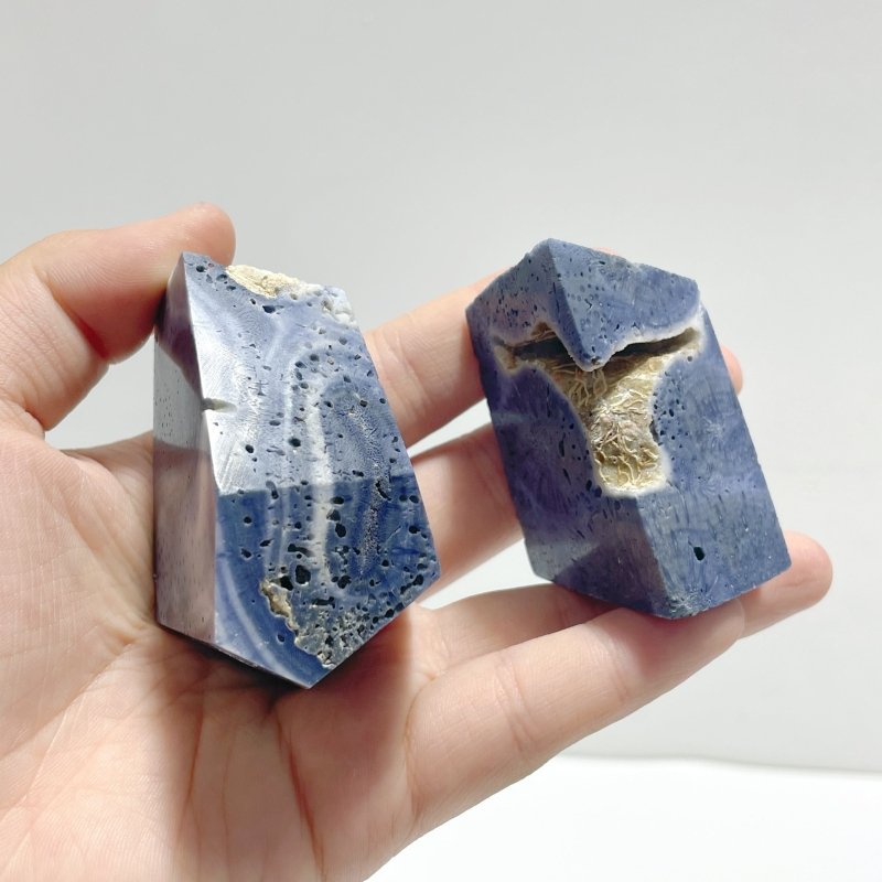 Blue Ridge Coral Free Form Heliopora Coerulea Wholesale - Wholesale Crystals