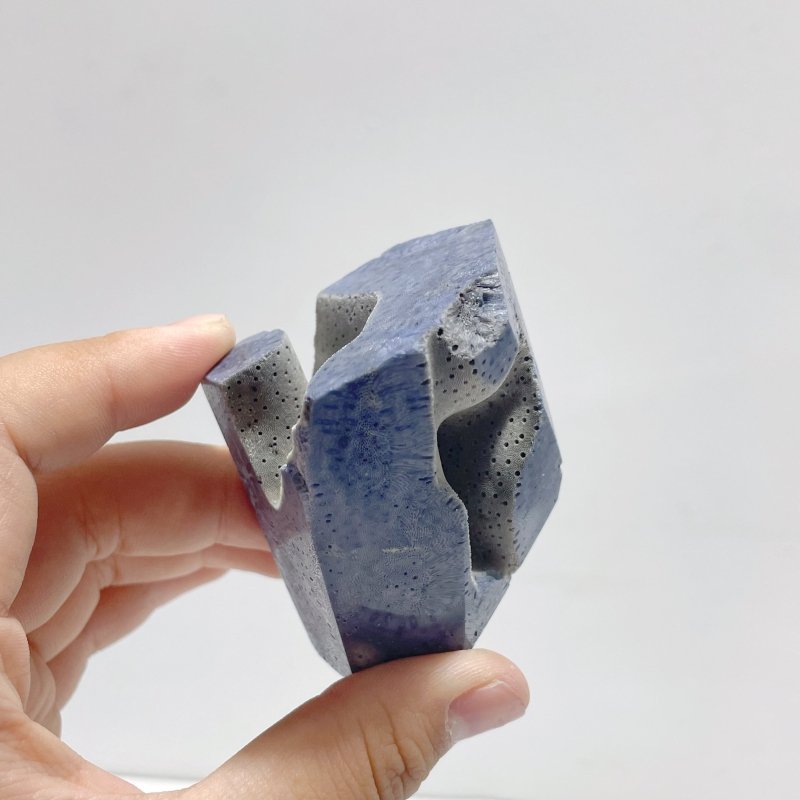 Blue Ridge Coral Free Form Heliopora Coerulea Wholesale - Wholesale Crystals