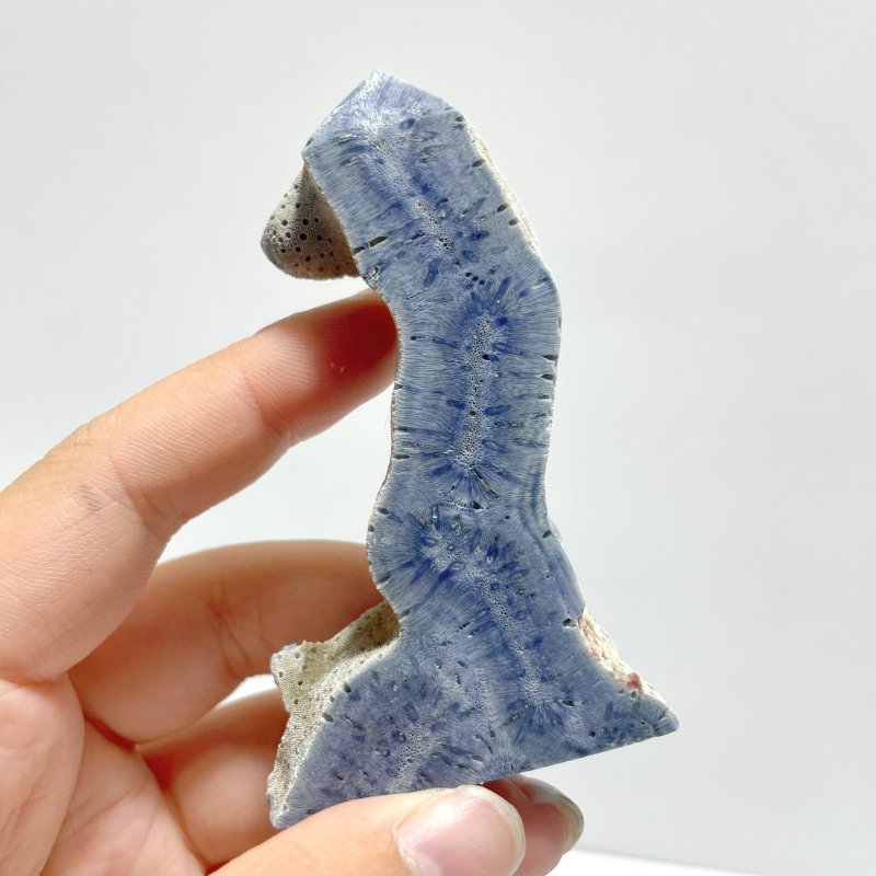 Blue Ridge Coral Heliopora Coerule Tower Point Wholesale - Wholesale Crystals