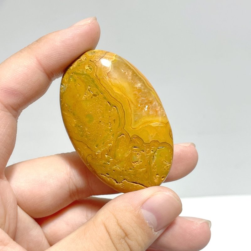 Crazy Agate Palm Wholesale - Wholesale Crystals