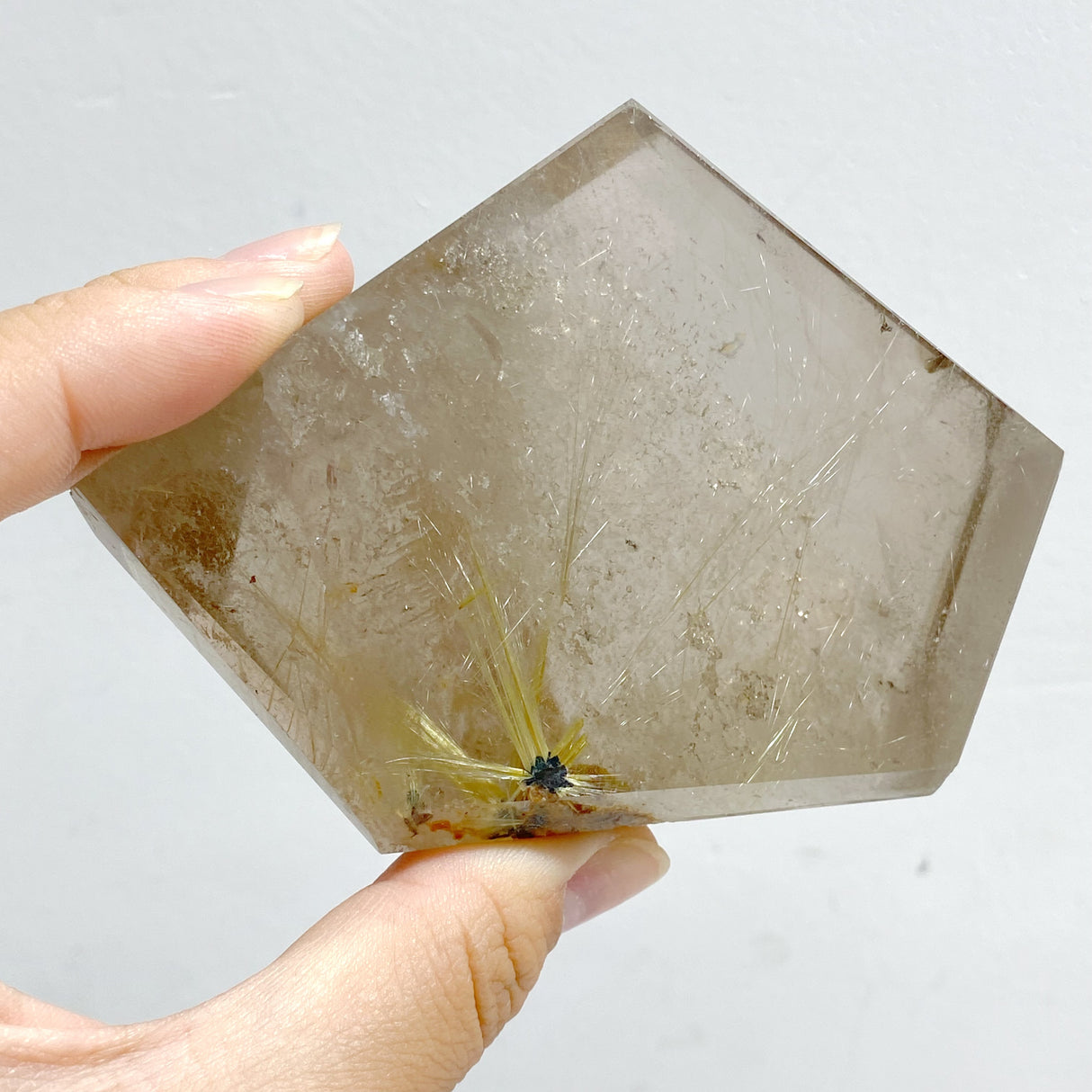 4 Pieces Golden Rutile Quartz Free Form With Stand