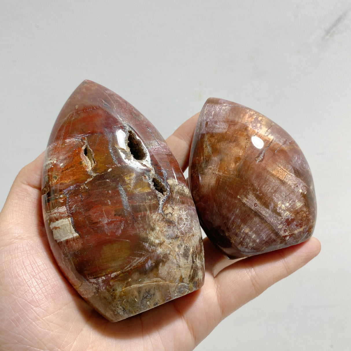 15 Pieces Petrified Wood Stone Arrow Head Shape