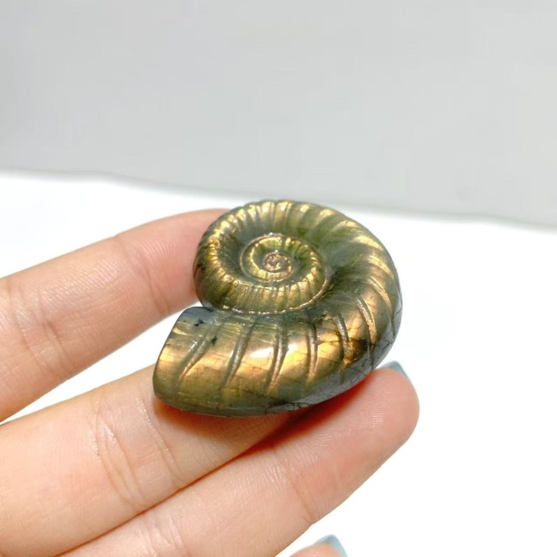 Labradorite Conch Carving Wholesale - Wholesale Crystals