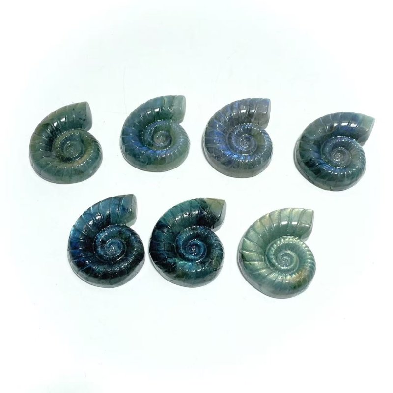 Labradorite Conch Carving Wholesale - Wholesale Crystals