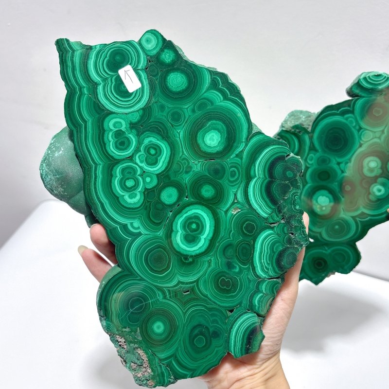 Large Polished Malachite Raw Slab Butterfly Wing With Stand(#8) - Wholesale Crystals
