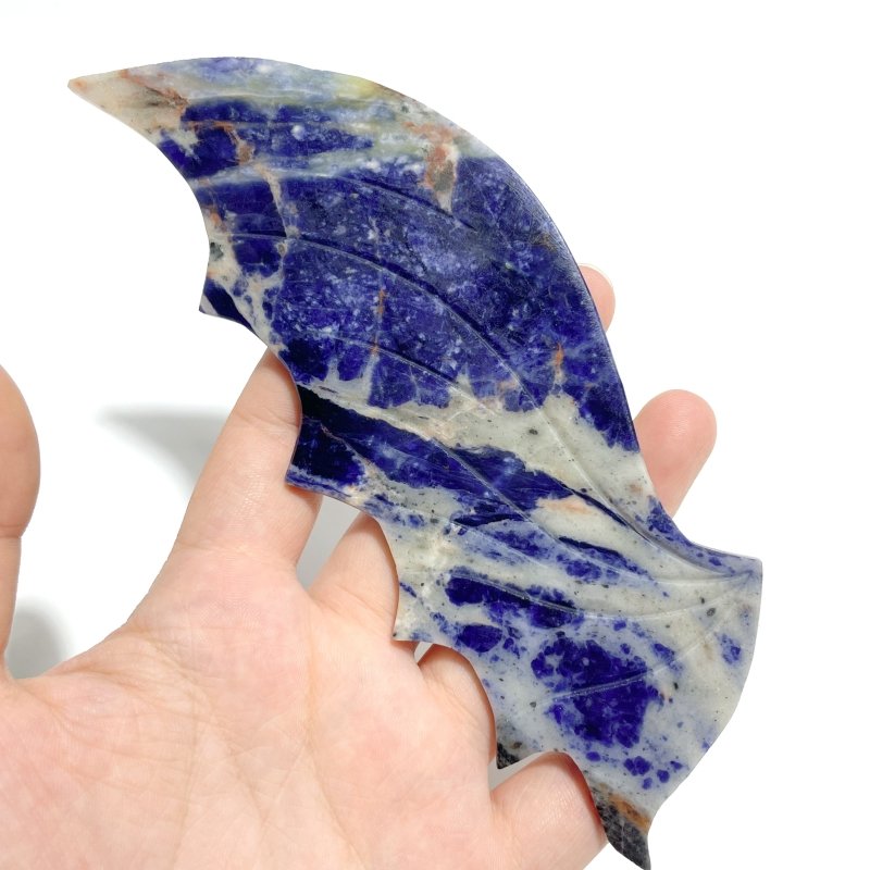 Unique Blue Sodalite Flying Dragon Wing Carving With Stand - Wholesale Crystals